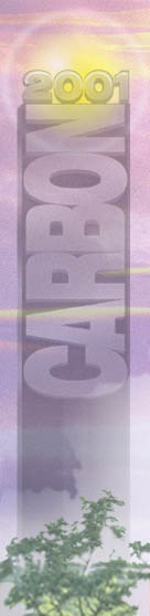 CARBON'01 Logo
