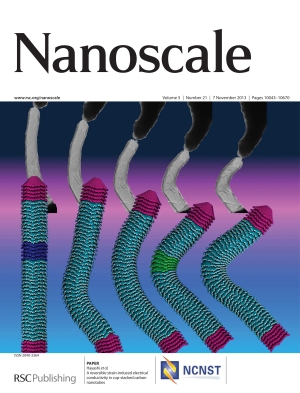 nanoscale_2014_sp