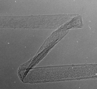 TEM picture of carbon nano tube